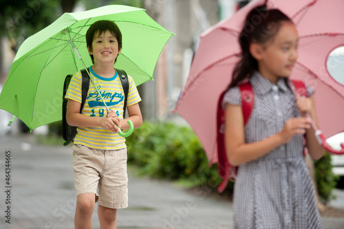 雨天の登下校で傘をさした小学生子供男女 photo