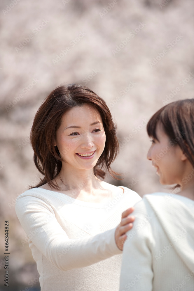 桜の花見をする２人の女性