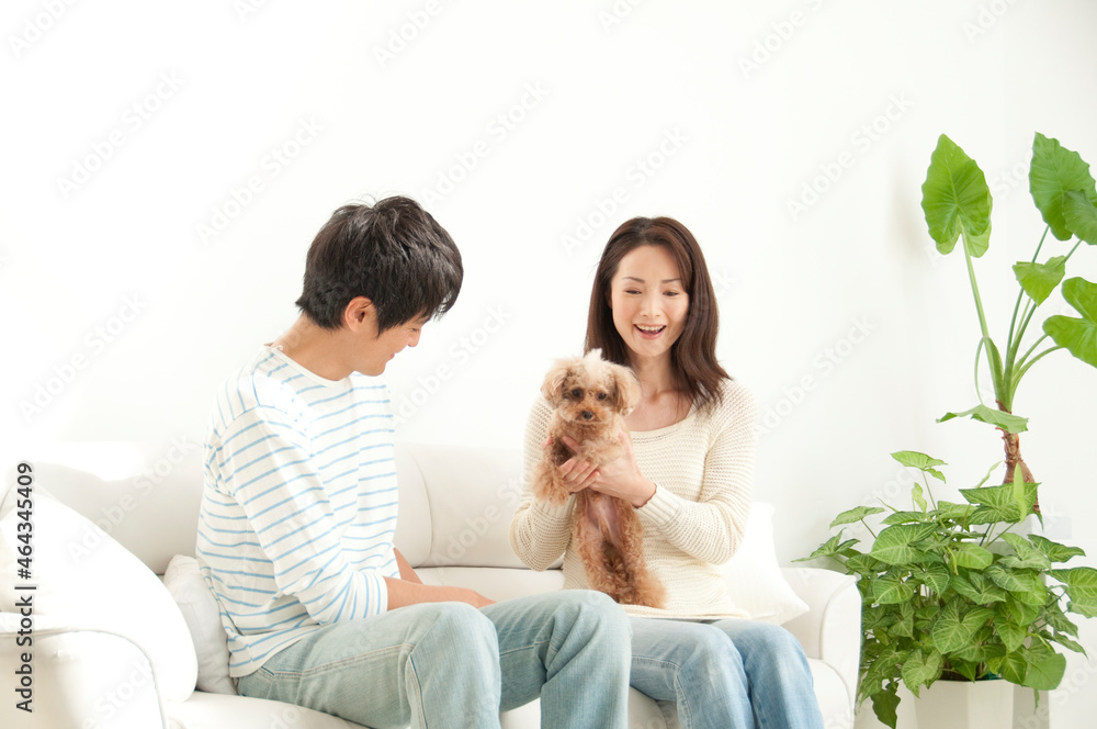 ソファに座ったカップルと犬 ソファに座ったカップルと犬