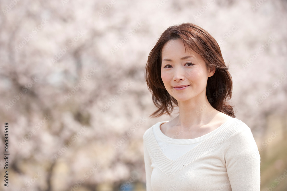 桜の花見をする女性 桜の花見をする女性