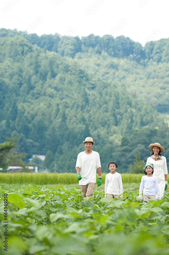 畑の中の四人家族 畑の中の四人家族