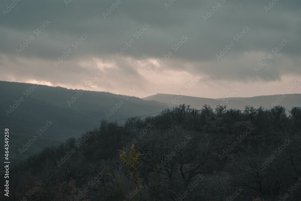 Fototapeta premium Stock v1