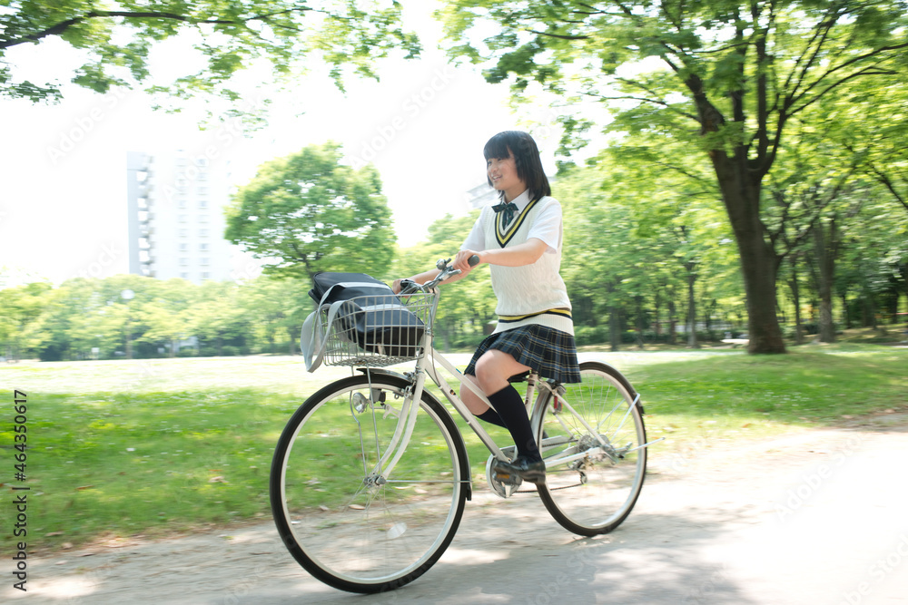自転車の夏服女子高生 Stock 写真 Adobe Stock 自転車の夏服女子高生 Stock 写真 Adobe Stock