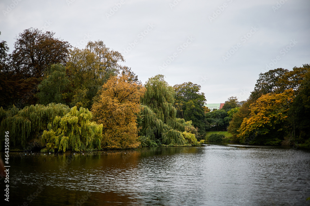 Fototapeta premium Fall colors 