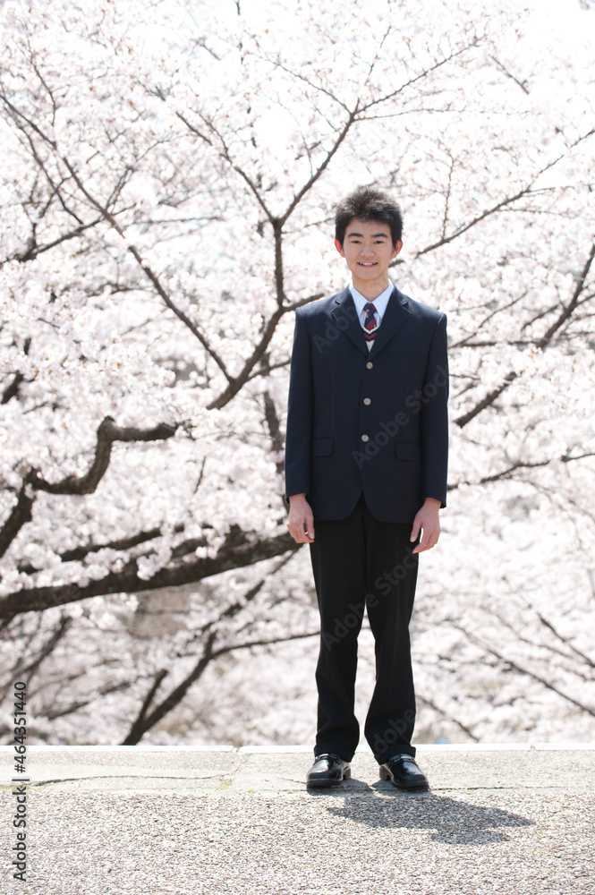 桜と男子高校生 桜と男子高校生