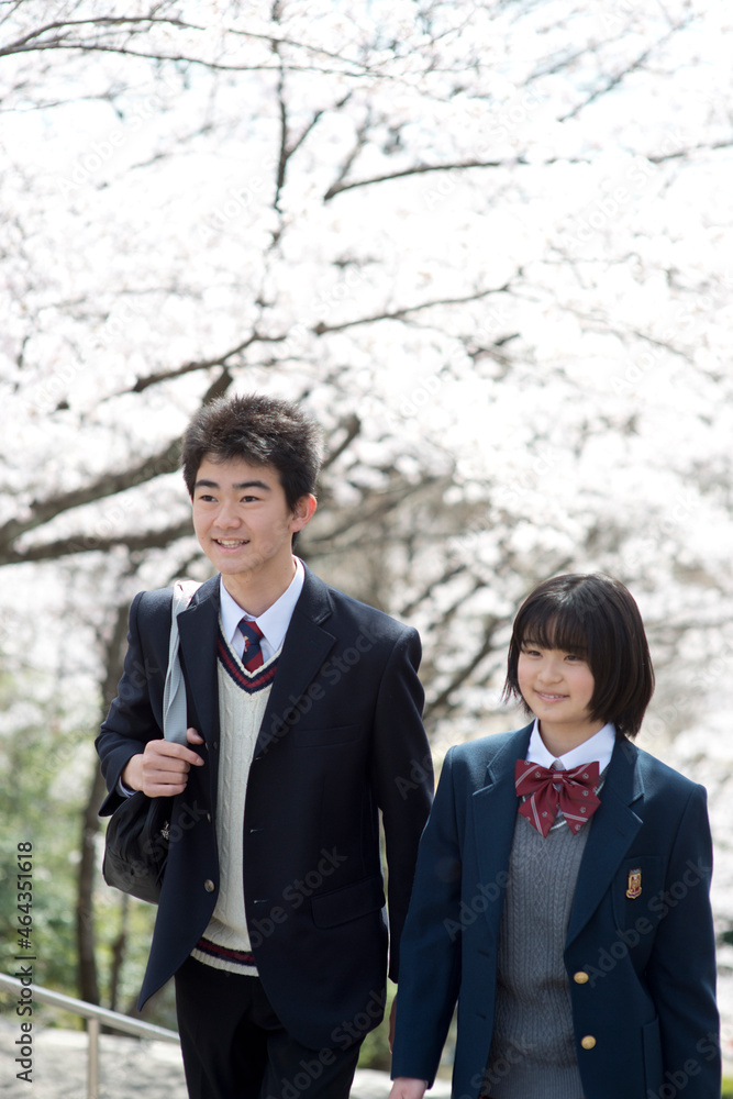 桜と高校生男女 桜と高校生男女