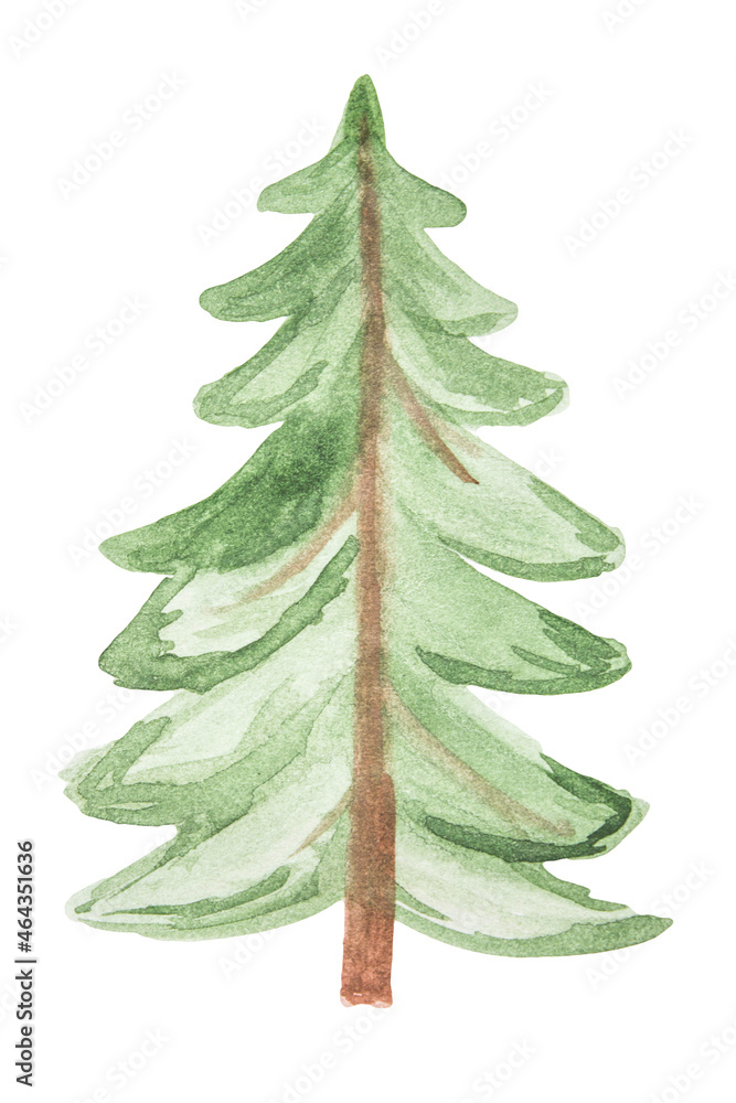 Obraz premium Hand-drawn watercolor green Christmas tree isolated on white background.