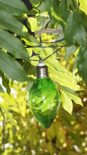 light bulb and tree