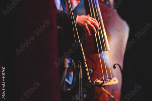 Obraz na plátne Concert view of a contrabass violoncello player with vocalist and musical band d