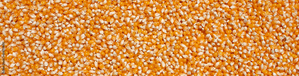 overhead view banner size display fresh popcorn in natural sunlight food background overhead view banner size display fresh popcorn in natural sunlight food background