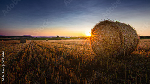 Obraz na plátně sunset in the mowed field