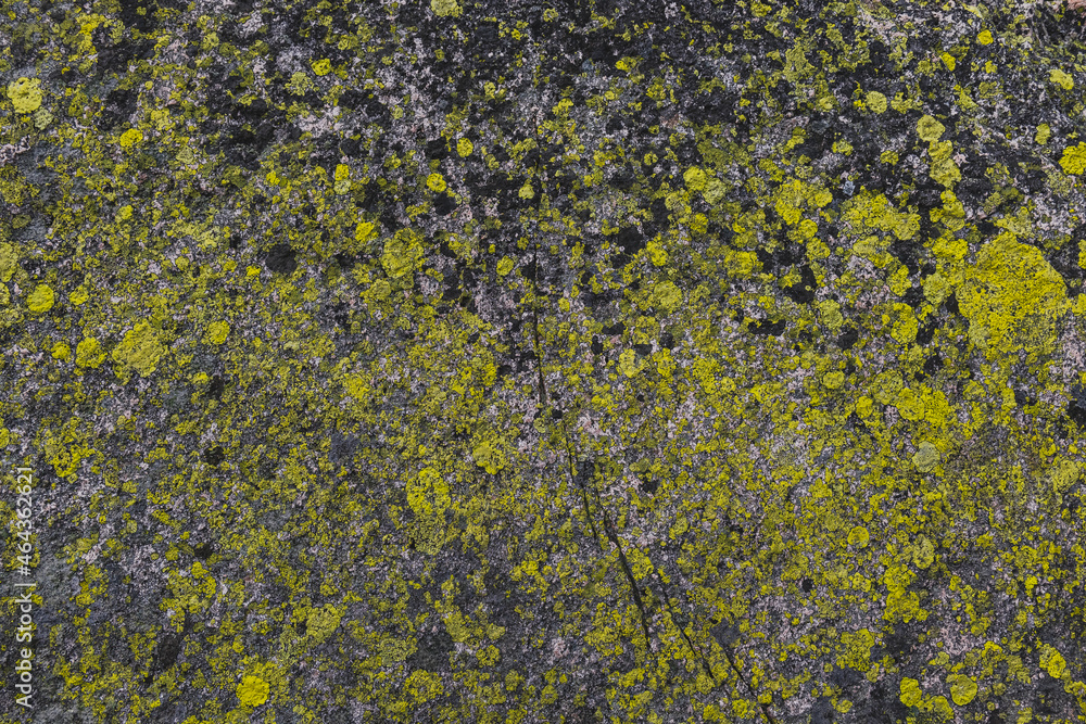 The texture of a stone from the mountains - covered with green and yellow lichens - Karkonosze The texture of a stone from the mountains - covered with green and yellow lichens - Karkonosze