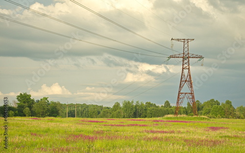 High voltage electric poles and wires in the meadow. photo