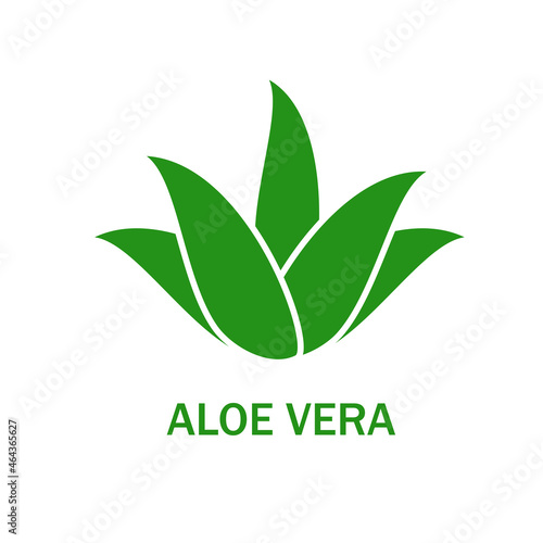 Aloe vera icon isolated on white background. Aloe vera flat icon for web site, app, banner and logo. Aloe vera for poster, ads, label, emblem and badge. Aloe vera vector illustration