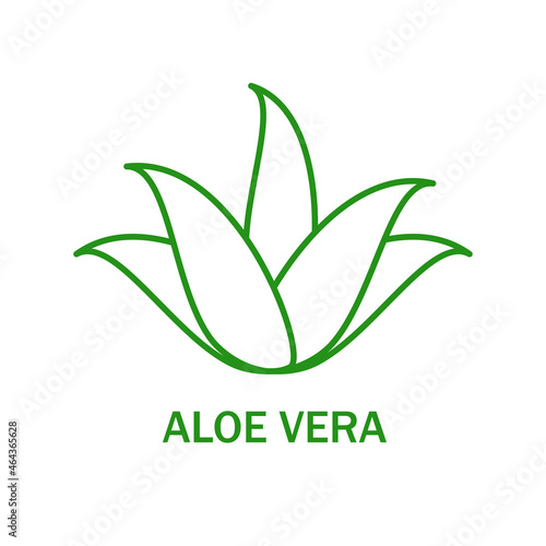 Aloe vera icon isolated on white background. Aloe vera flat icon for web site, app, banner and logo. Aloe vera for poster, ads, label, emblem and badge. Aloe vera vector illustration