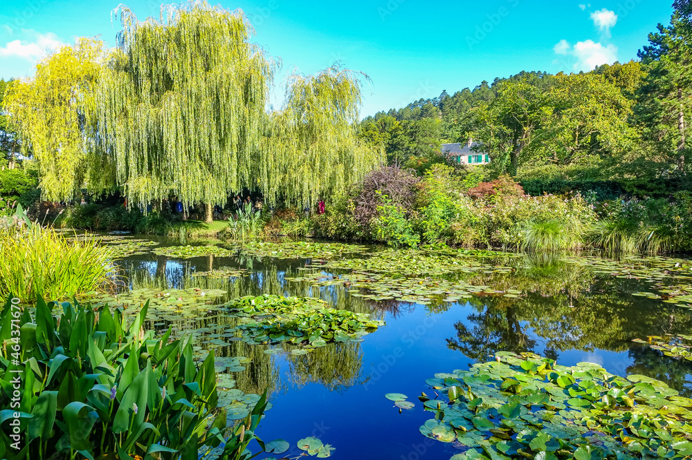 Fototapeta premium Pond view at Monet's Gardens