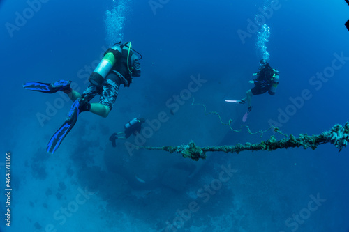 scuba diver © timsimages.uk