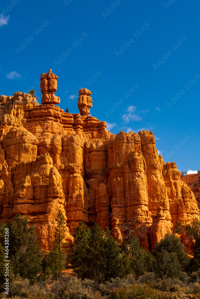 Hoodoos in red canyon 
