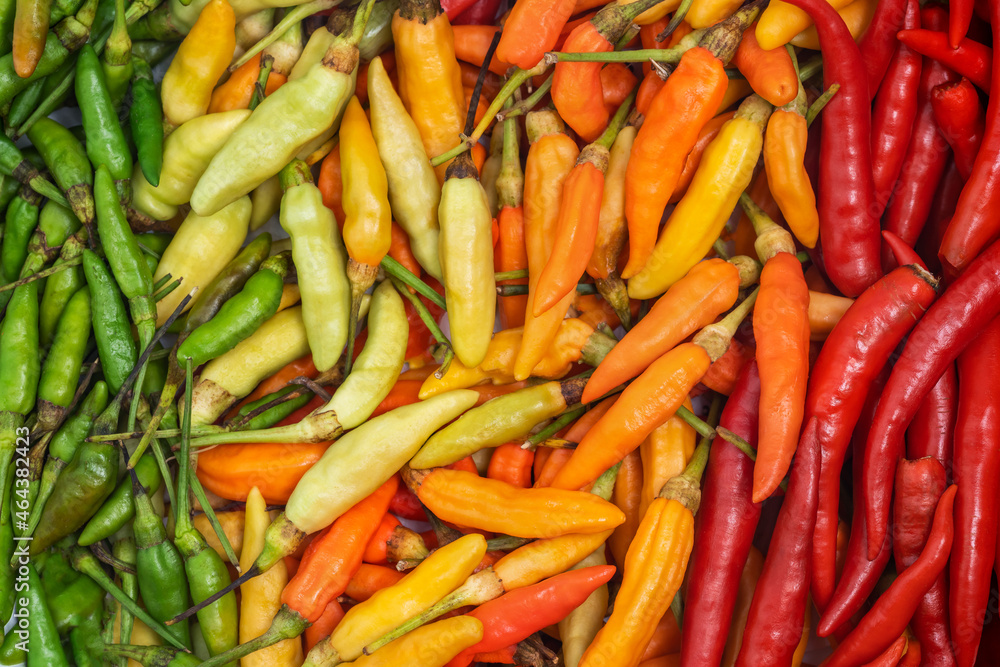 Tipe of pepper food background Tipe of pepper food background