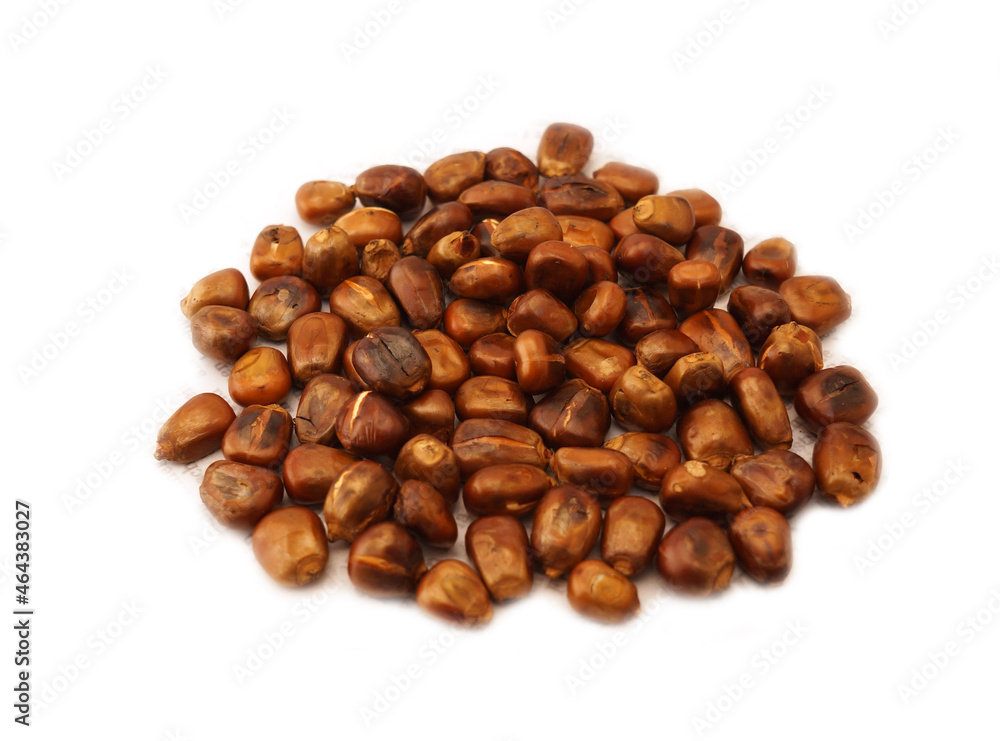 roast corn kernel isolated on white background
roast corn kernel isolated on white background