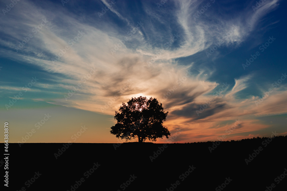 Sunset, dark blue clouds and sun behind a tree.