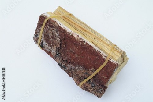 Amomum xanthoides Wall, lacquer tree, poison ivy, poison oak, Rhus isolated on white background
