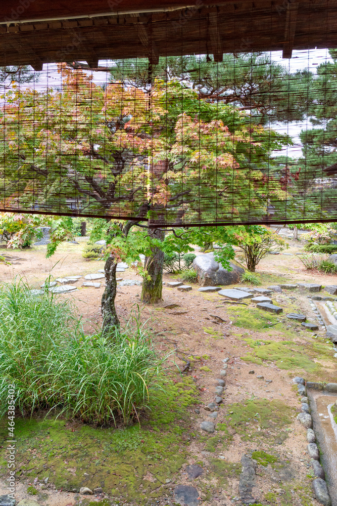 Obraz premium Traditional Japanese garden in Takayama Jinya in Gifu, Japan in autumn