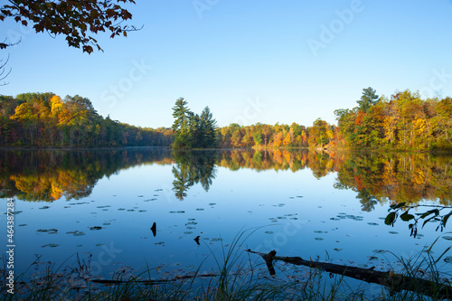 Calm lake wide view with an island and trees in autumn color at dawn