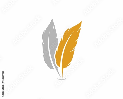 Two feather with gold and gray colors