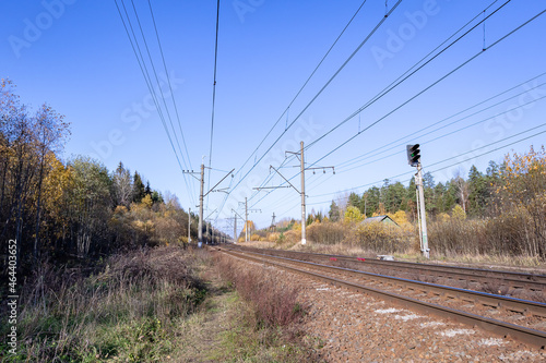 Railway tracks in the forest area