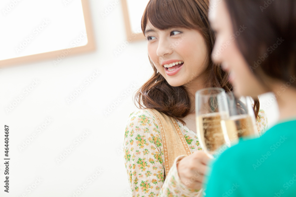 乾杯する女性2人 乾杯する女性2人