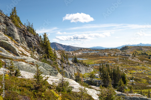 Trophy Mountain hike in the meadows of Wells Gray Provincial Park near Clearwater, BC. Beautiful alpine meadows in the summer in the mountains, rocky landscape