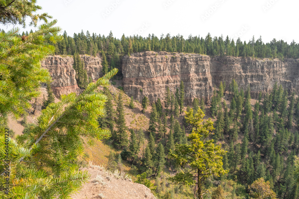 Chasm Canyon Park near Clinton BC, basalt volcanic canyon, pine forest, interesting geology