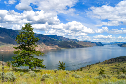 Kamloops Lake at the mouth of Thompson River near Savona, British Columbia, Canada. Sunny day day with clouds, pine tree and reflection on the water