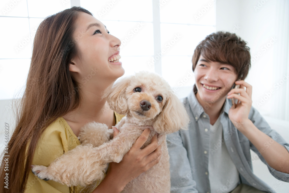犬を抱っこする女性 犬を抱っこする女性