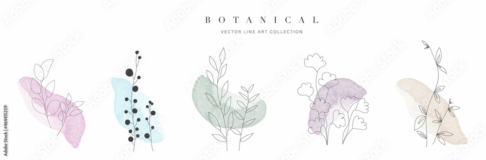 Botanical arts. Hand drawn line drawing of abstract floral and leaves with watercolor background vector. - obrazy, fototapety, plakaty 