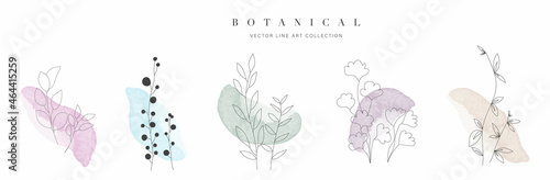 Botanical arts. Hand drawn line drawing of abstract floral and leaves with watercolor background vector.