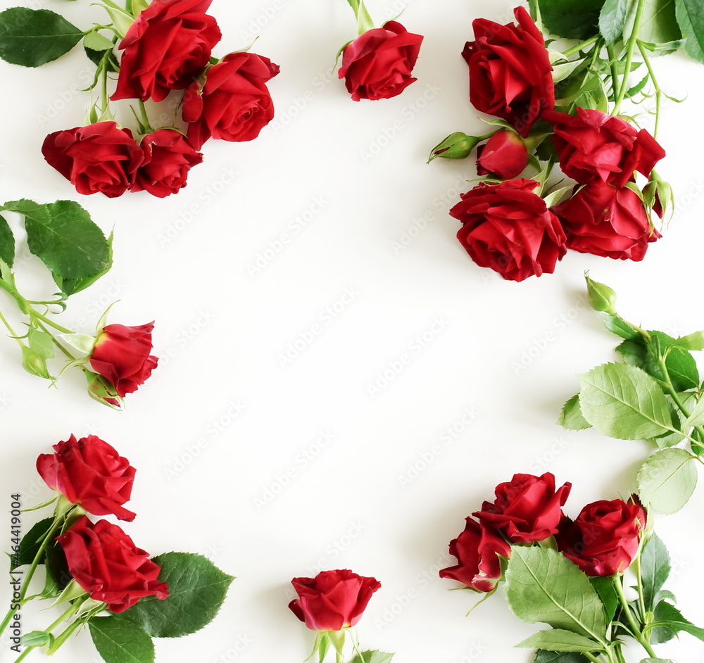 Red roses frame isolated on white background with copy space . Selective focus.Floral card. Red roses frame isolated on white background with copy space . Selective focus.Floral card.