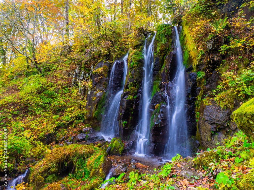 Naklejka premium Waterfall with autumn leaves (Zao, Yamagata, Japan)
