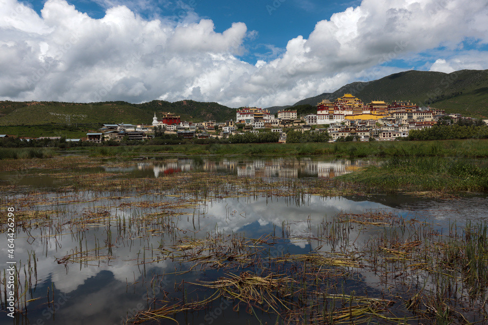 landscape with lake