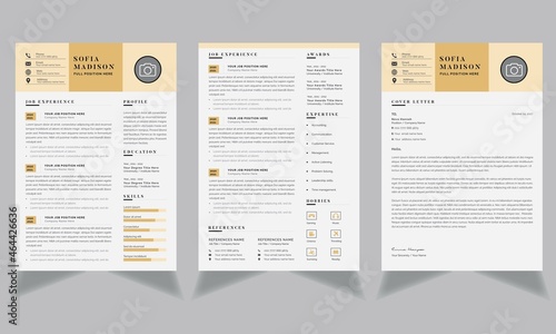 Creative Resume Layouts Set Gold Symbol Accents