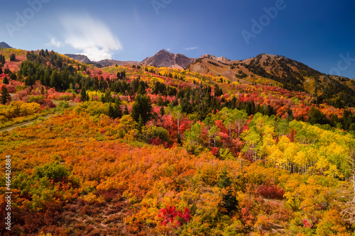 Aerial view of Snow basin in Utah filled with brilliant fall foliage near Mt Ogden