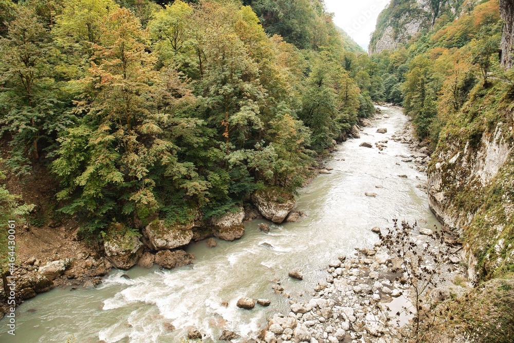 custom made wallpaper toronto digitalMountain river among the rocks. Deep gorge. The mountains are covered with autumn forest around.