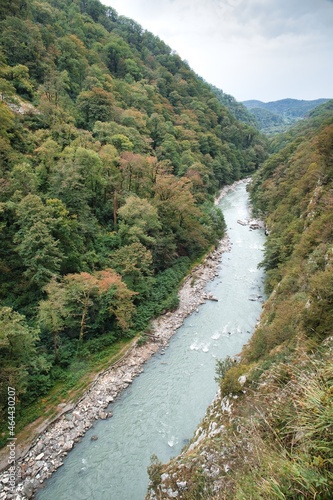 Panorama of the mountain gorge. A clear mountain river deep below. The forest covers the mountains around.