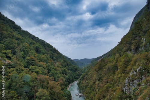 Panorama of the mountain gorge. A clear mountain river deep below. The forest covers the mountains around.