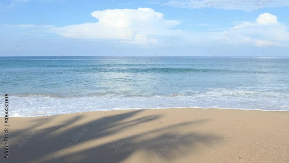 Shadows of coconut trees on a sandy beach in Phuket, Thailand. Shadows of coconut trees on a sandy beach in Phuket, Thailand.