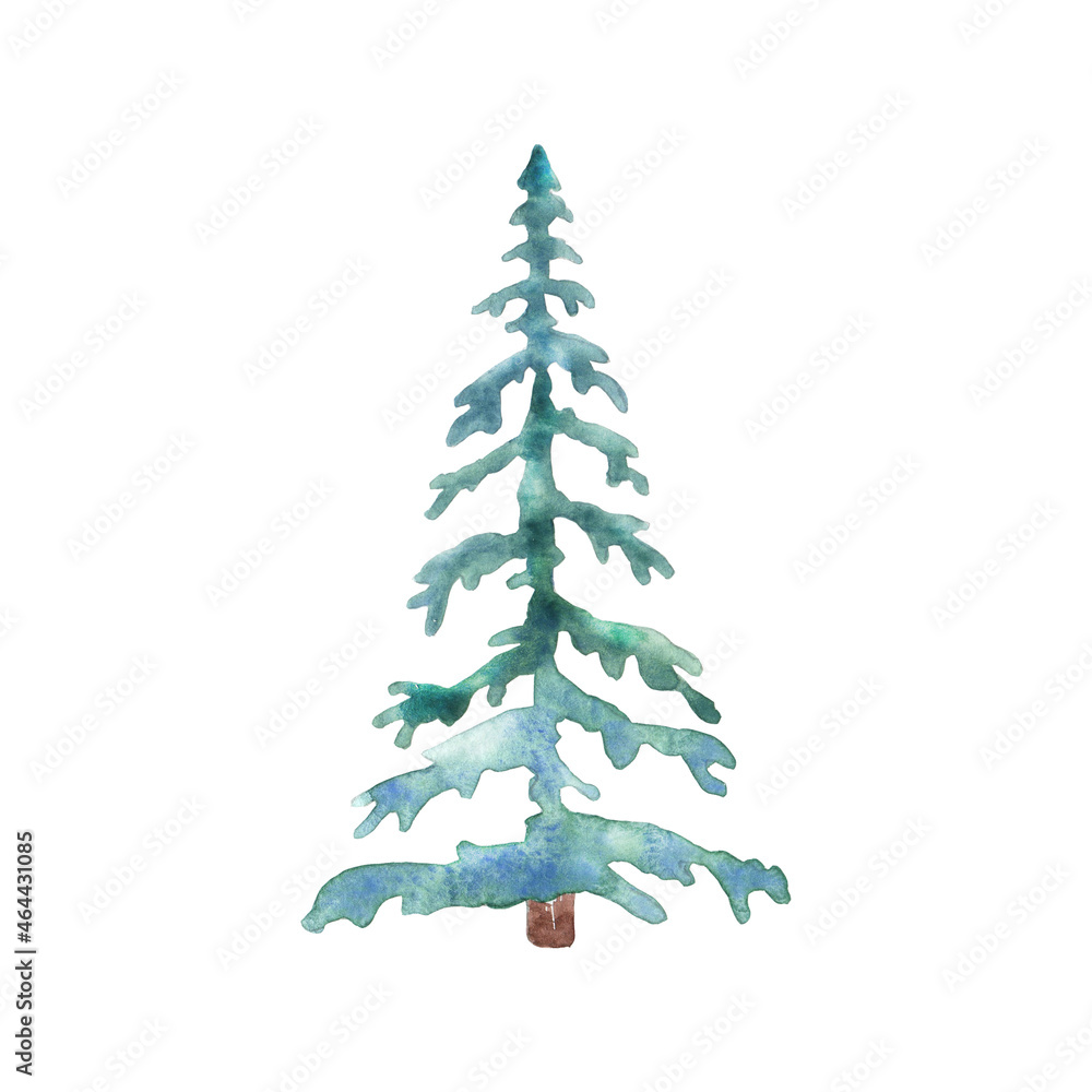 Watercolor blue fir tree Watercolor blue fir tree