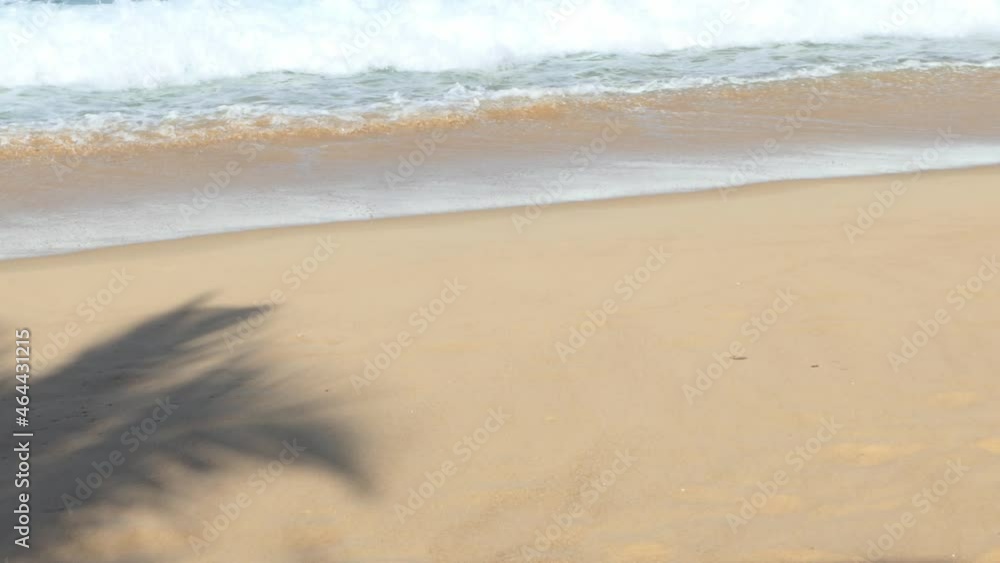 Shadows of coconut trees on a sandy beach in Phuket, Thailand Shadows of coconut trees on a sandy beach in Phuket, Thailand