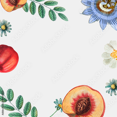 Floral fruity frame design vector