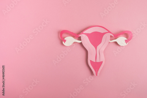 Konstfotografi Decorative model uterus made frome paper on pink background